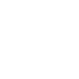 Custom Digital Platforms for NGOs & Organisations