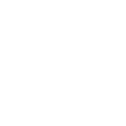 SEO Technique & Performance Web