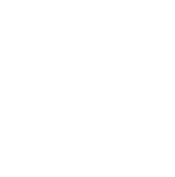 API Development & System Integration