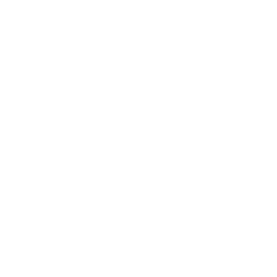 Web Application Development