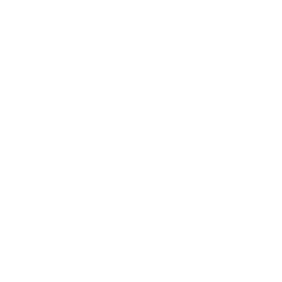 Digital Transformation & Technology Solutions