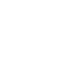 Project Management & Digital Strategy